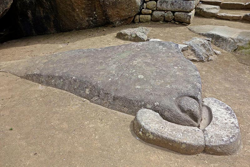 Representation of the Condor's Head