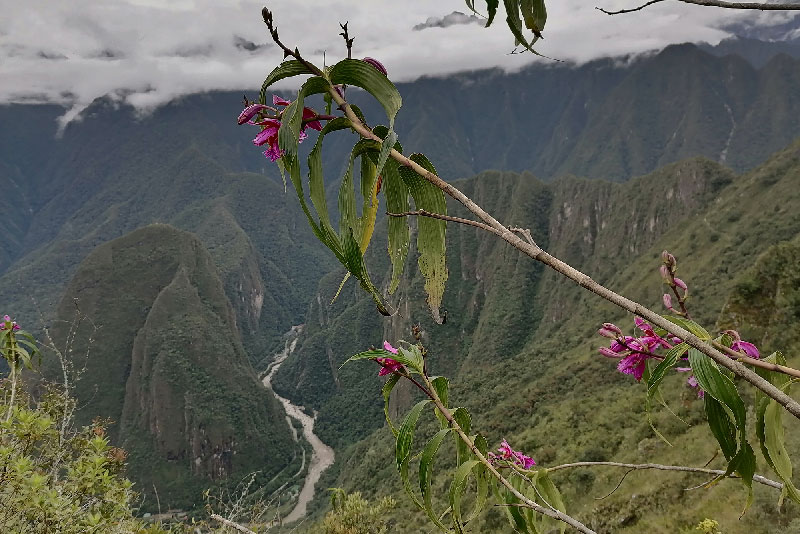 Paisagens Machu Picchu